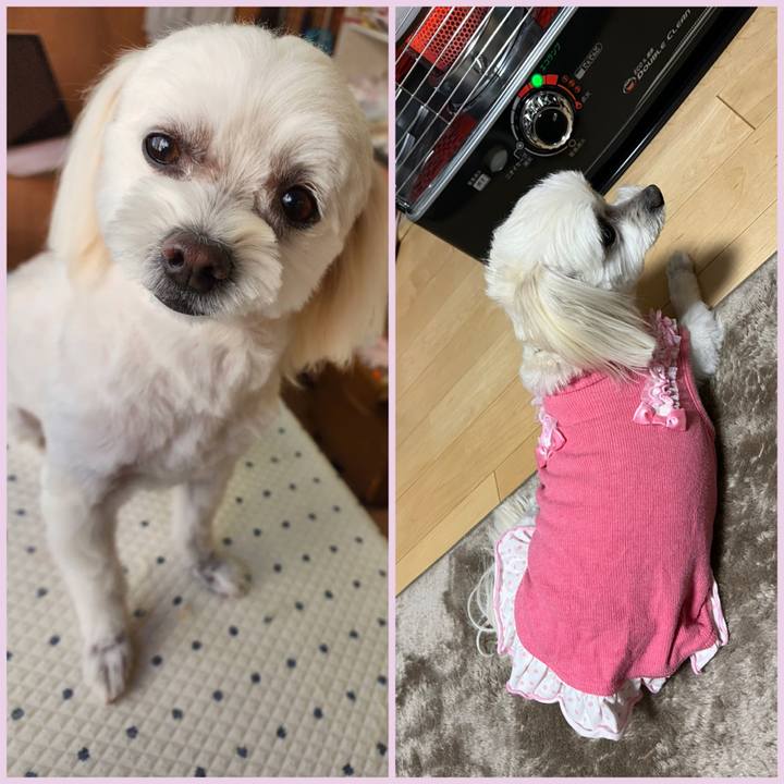 0892a361 903e 404a 8e62 13e079e08bc3 1699955838166