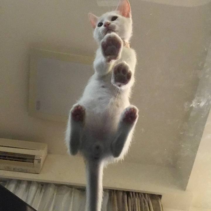 0892bcad b9aa 42d8 b904 abe9a793b2d9 1566381833532