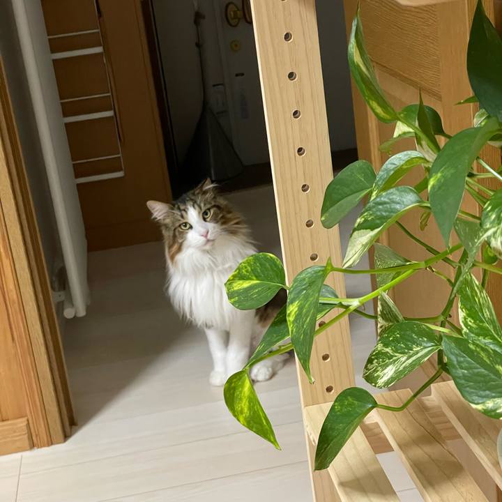 0892ca4b 5f3a 4397 9b83 3d7ee5ba08d4 1688933101818