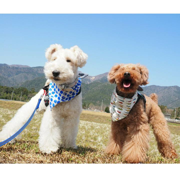 08934ecf cccc 4fb1 b9dd adfd5e47e8d1 1522817282869