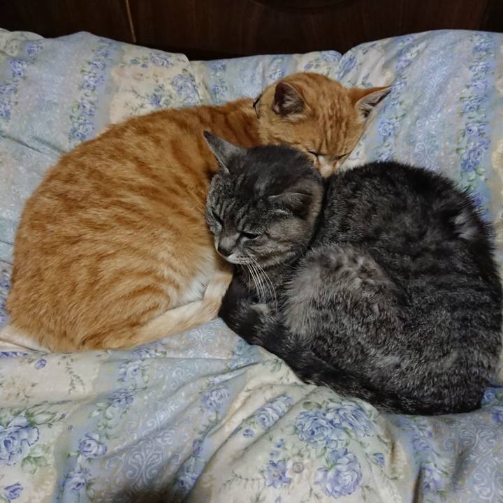 08936b02 1562 4e6d a4a1 37fbc26a16ce 1588766677468