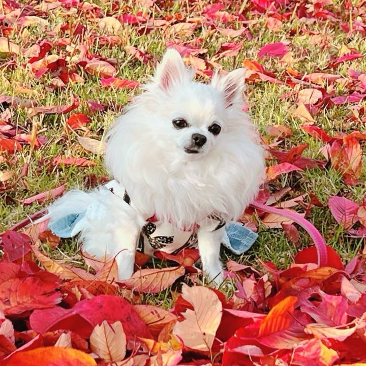 08936ead 5d87 4ba0 af30 adfaea12b4a5 1763383030839