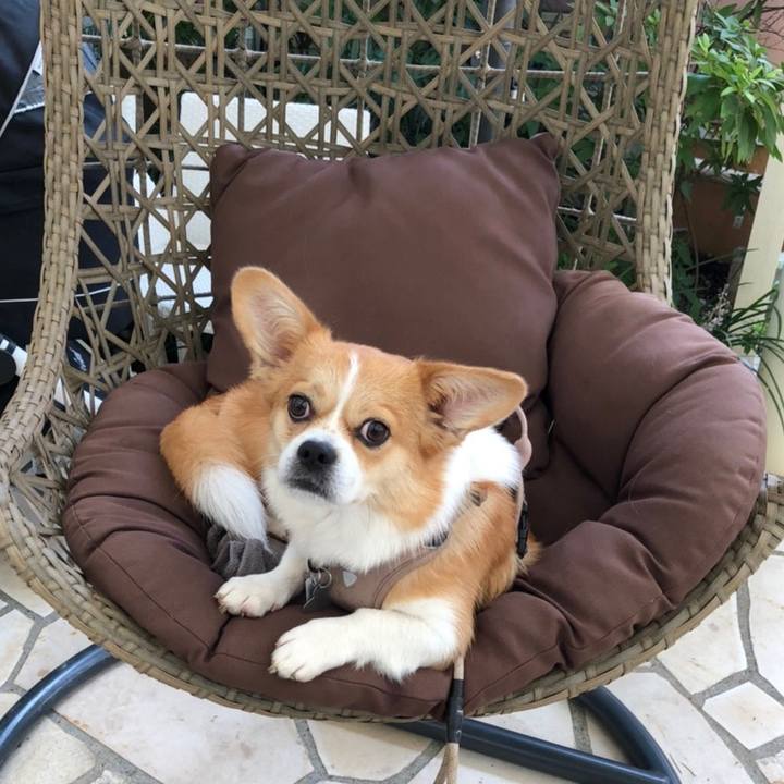 0893ee57 1253 4d0d 8d53 c73c94e852be 1600169971751