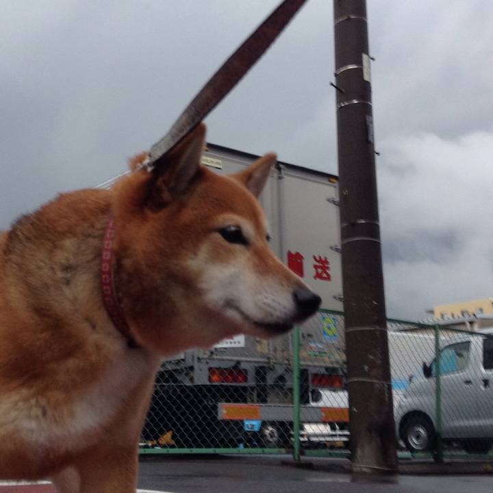 0893f787 6805 4a43 be11 25c67bfafec6 1535794017501