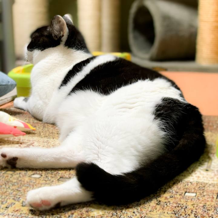 0893faa9 9c90 4439 87e6 2b28237aacd3 1587347132298