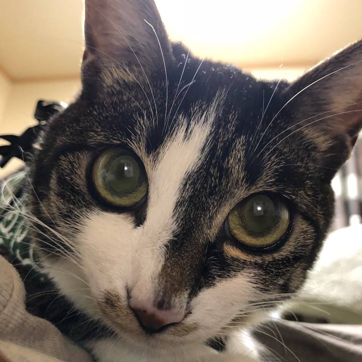 0893fcc7 d4db 44d3 aa1e c82dde64a9c3 1529350697027