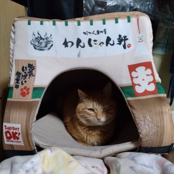 089423b7 8389 457c a890 c44f5169d29c 1675771883002