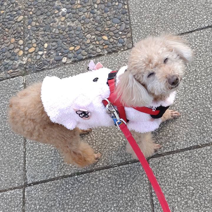 0894474c 518a 4aa3 a02e 93fb14a3c88b 1644620984530