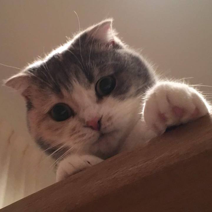 0894feb3 8783 47c4 843b 4e051332b57b 1574502913730