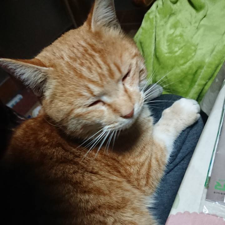 08958ebf bcd8 4cdf 9ca9 1d56b7115cb0 1582921422430