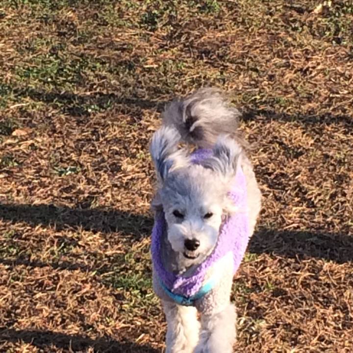 0895aca7 38bb 4b6a 8c59 dce2a1d51126 1764030844995