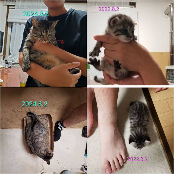 0895b157 69c2 478e 80cc 680deecc3182 1722595850834