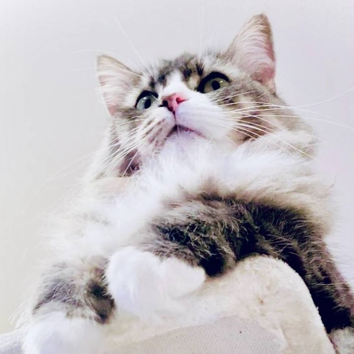 0895d144 cbde 4e30 bb9d 8ca0e8b26007 1763048445564