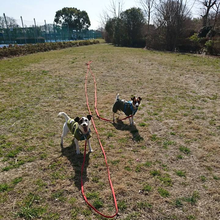 0895ea42 8aa6 4c90 96ed 85f53fee7343 1582512605385