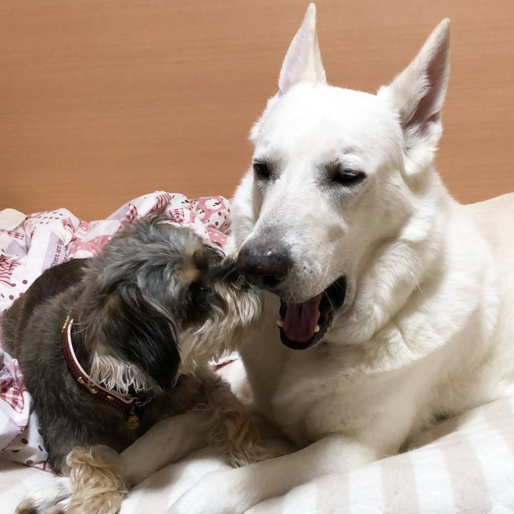 0895edcd 1003 4bd9 a04e 5c916a76d464 1552882500176