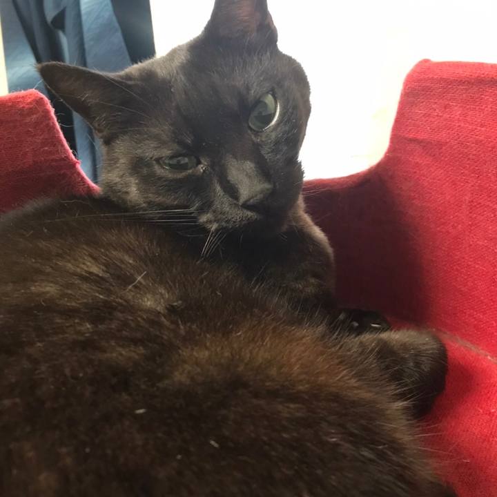 089609a4 8572 496e 864d 5161f98b225f 1667084736876