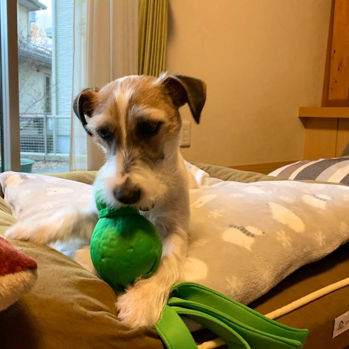 0896176a f76c 4ed8 8070 3e767896c84b 1581926795365