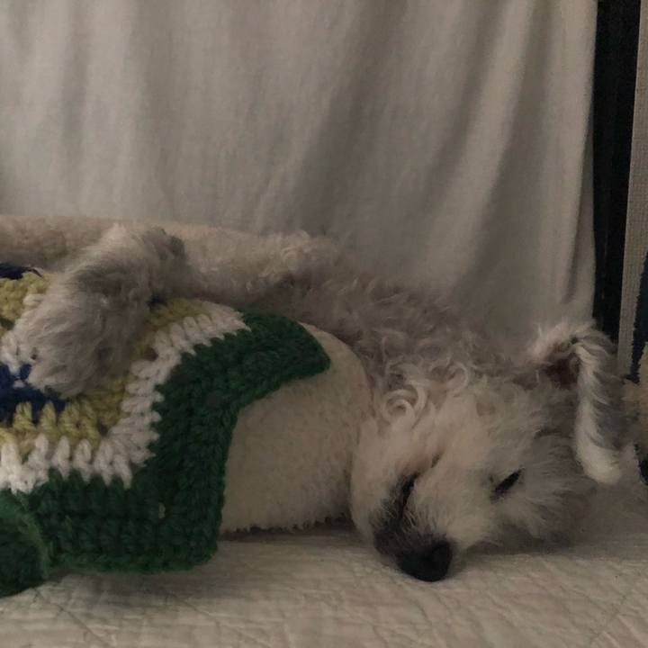 0896291b 2716 48dc b0f9 8ce5e797bde4 1592177353022