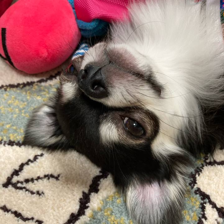 08963e10 7576 4660 a54e fa5b6875b63b 1620135520267