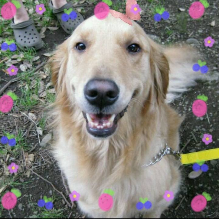 08963e8f b7f6 49ac 8530 9aaf27025c1c 1636457249653