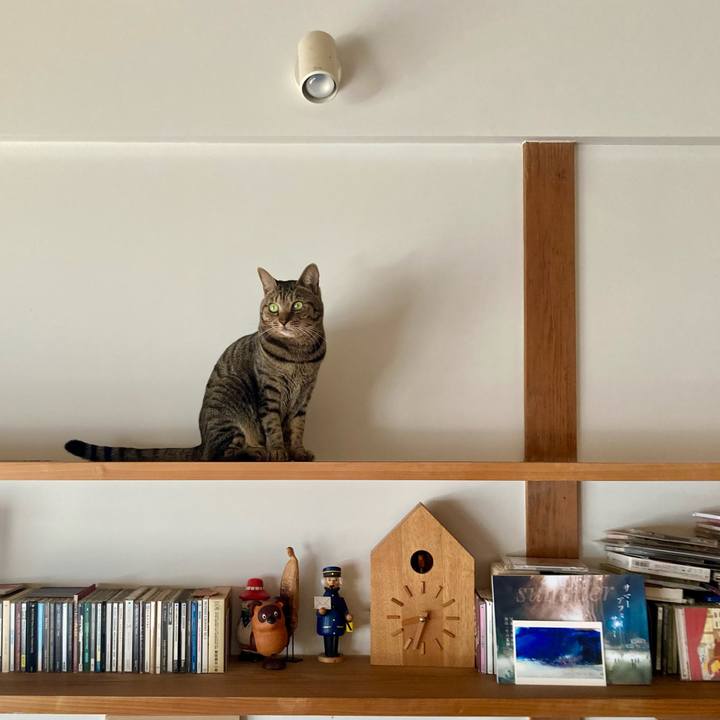 089679fc ce96 45c3 8d9a 26e3830ee907 1709440446407