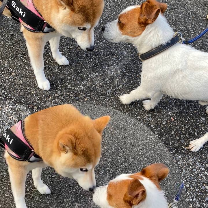 089680a8 5f60 406a aa29 51e0729dbf3e 1650627993433