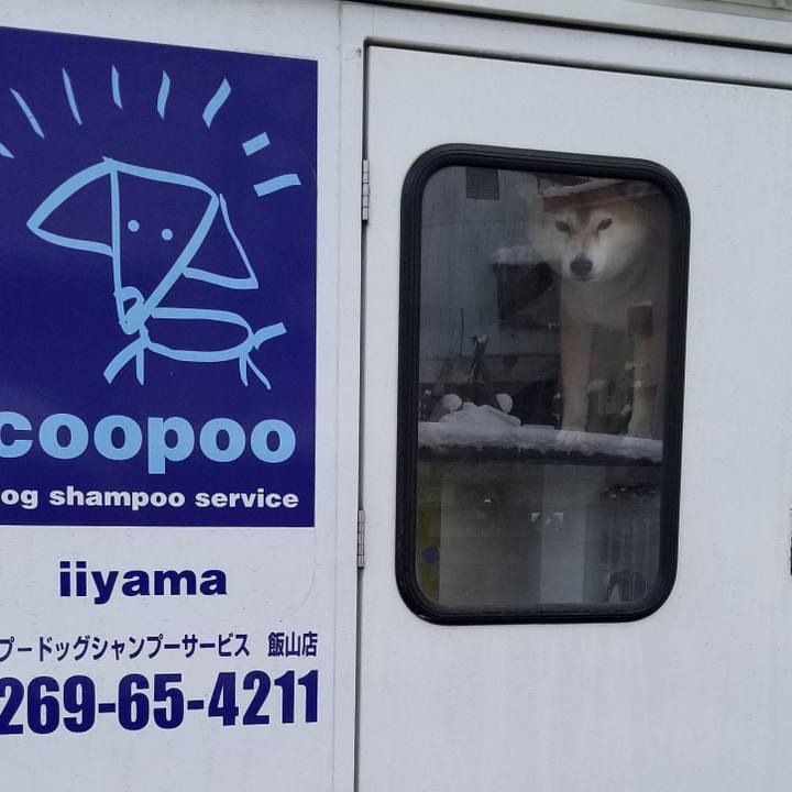 08968f63 93b0 413d a377 d5b4500be09e 1554253910530