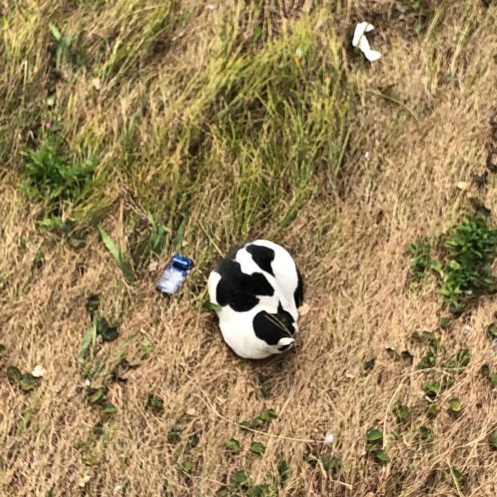 089699a9 6b02 4a48 928b 01cf59d998f1 1609361704570