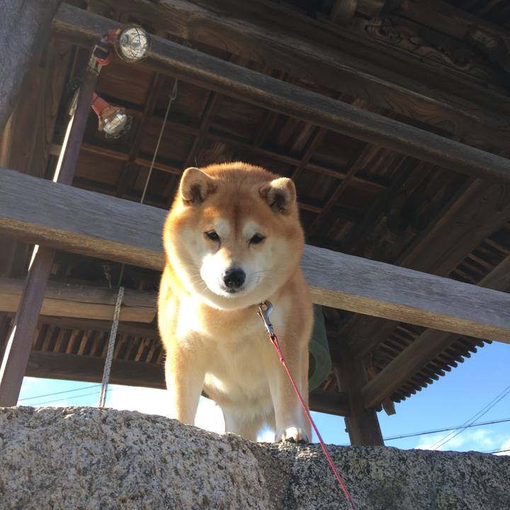 0896af36 59df 42bb a211 24aa803af10f 1578393893289