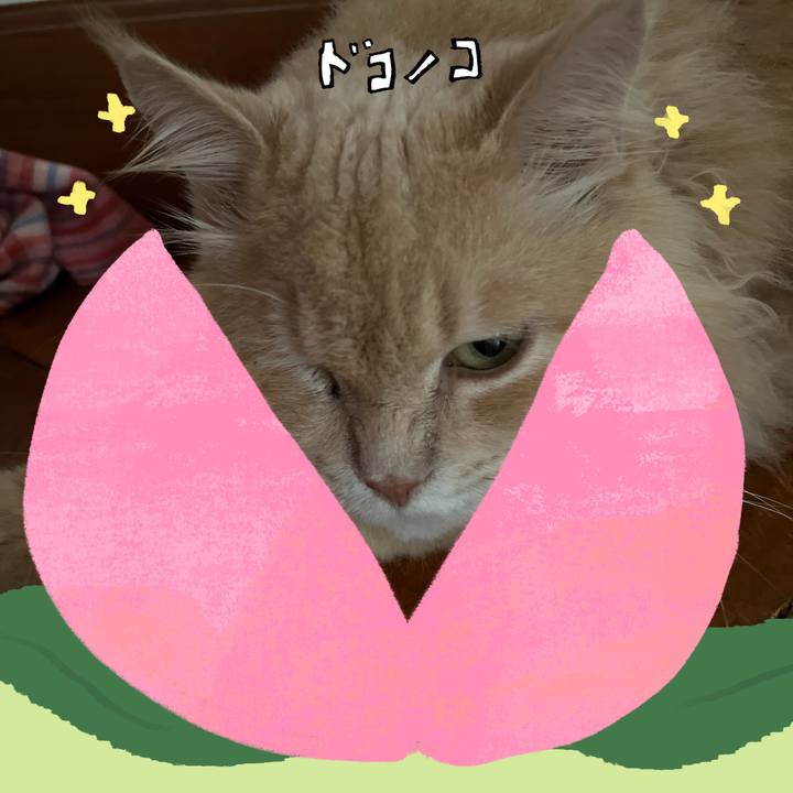 0896bcf4 5746 469c 919b 1bd51fee8870 1772076410139