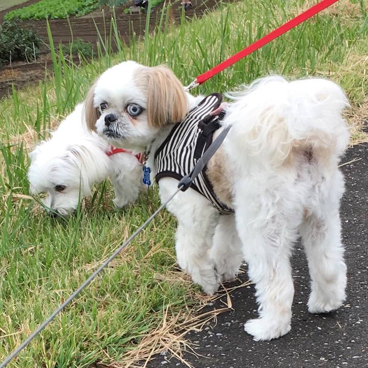 08972581 c32b 48c7 9f6b 0a883f01ffa8 1539409856779