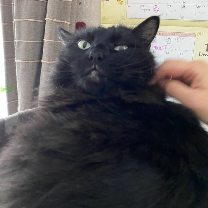 08973fe3 cd7b 400d 92dc 3c634708ab1e 1577271994190