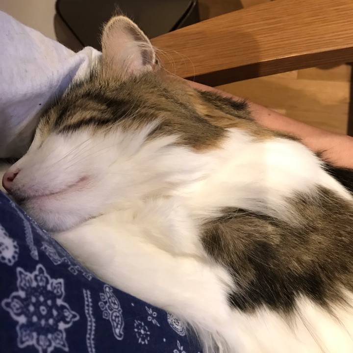 0897953e 985d 4753 a360 5fa11b4a440c 1565091624926