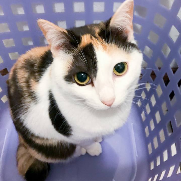 08979afa cc4d 4698 ae50 835a8ac07e2e 1526175254639