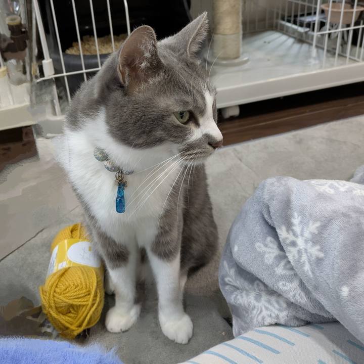 0897aa70 3e4d 4aa1 880d c8bf63f9ccdc 1763010604831