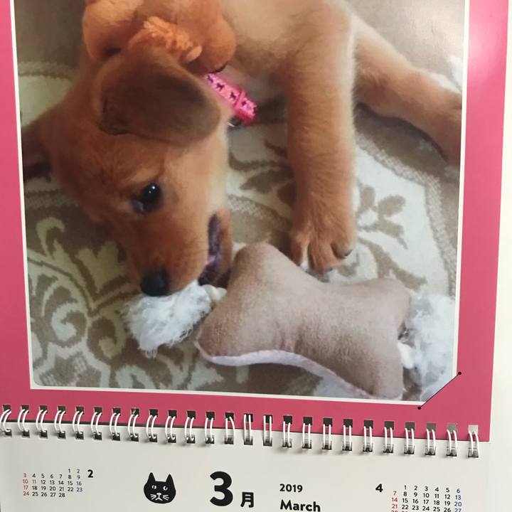 0897af08 7dfa 47d9 b6a6 06094e21111d 1551477106377