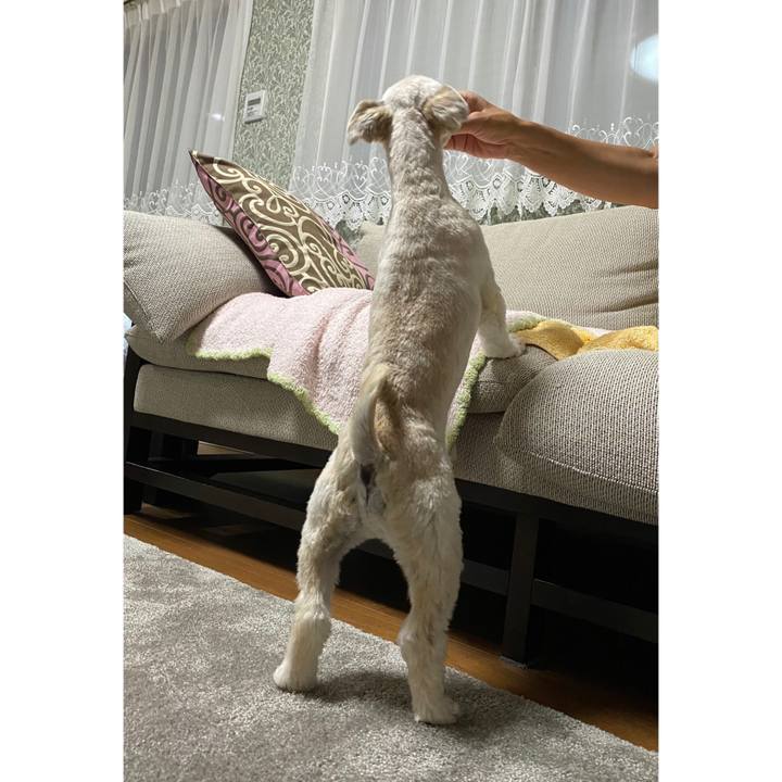 0897d71a ec0f 4c81 92a9 5159c0434d7c 1625322077871