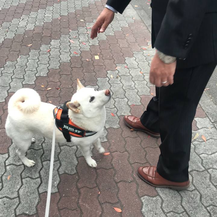 0897e326 7646 49ef 9b9b 6f6734b380ff 1542584373950