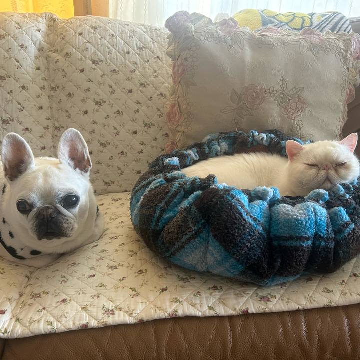 0897fd7e 9448 43e7 8e79 20c74c059b00 1733909491756