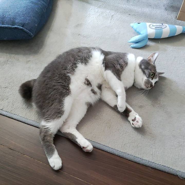 08980de7 e574 40d2 b792 71a9c5ba6aa5 1691886839298