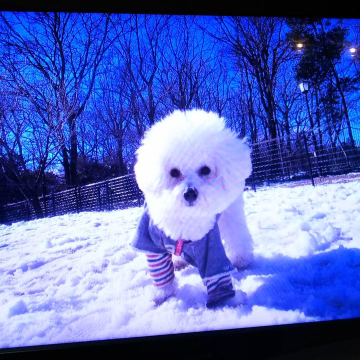 08981c56 ff38 465e bf17 ed71bc036b03 1517024352130