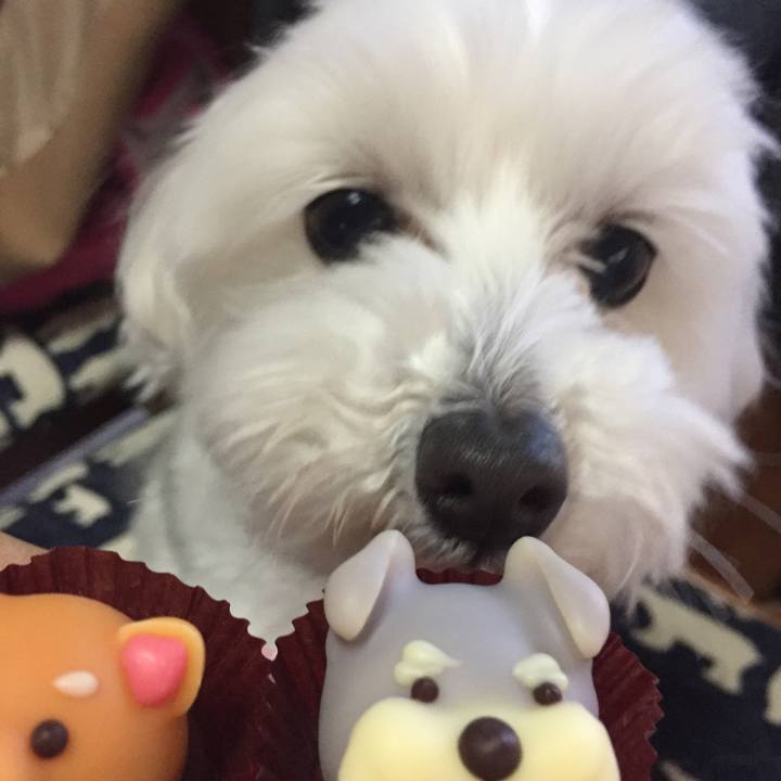 08981d6e 05d1 49df b4a5 cc7ff861ca78 1517285623676