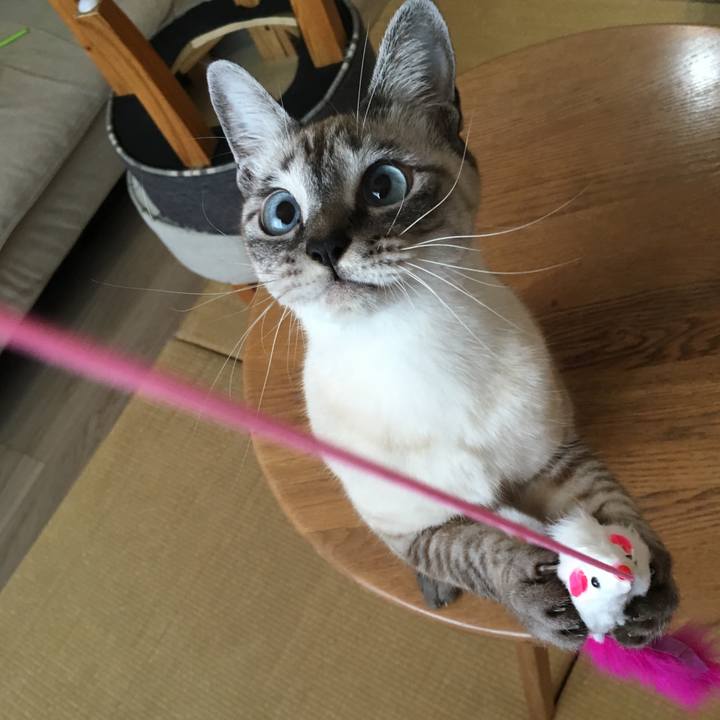 08983e87 7f97 4f96 9e79 393ecf14a69c 1574033959233