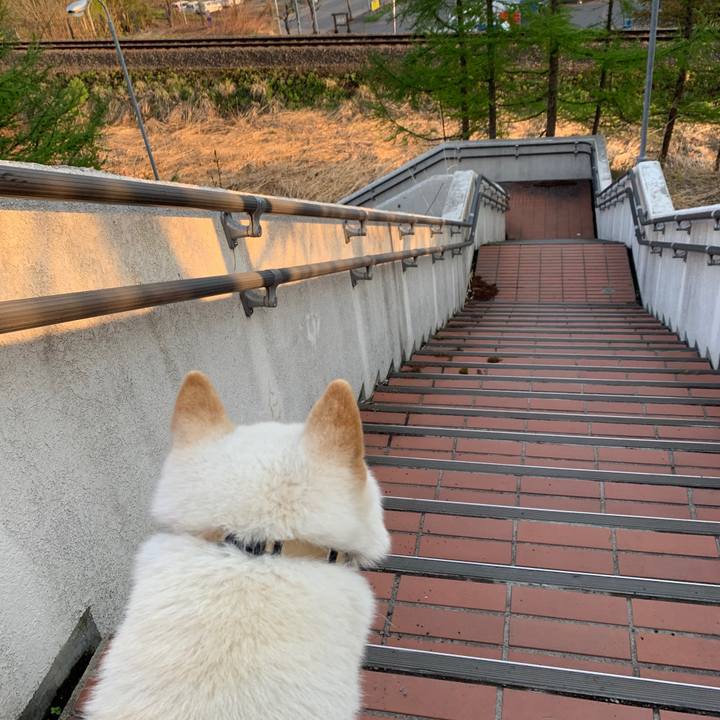 0898917d d452 4e00 9d3c f5c6ab09af90 1557359248528