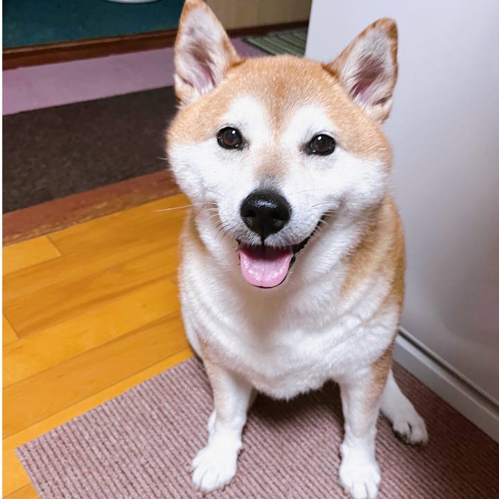 08989395 8ed5 4bb2 86bc 6144c1ae7dac 1694690248863