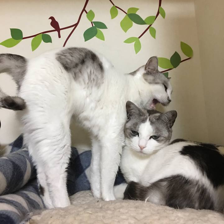 0898d2d3 6870 4b82 8120 f95b8d43c6ab 1548985012980