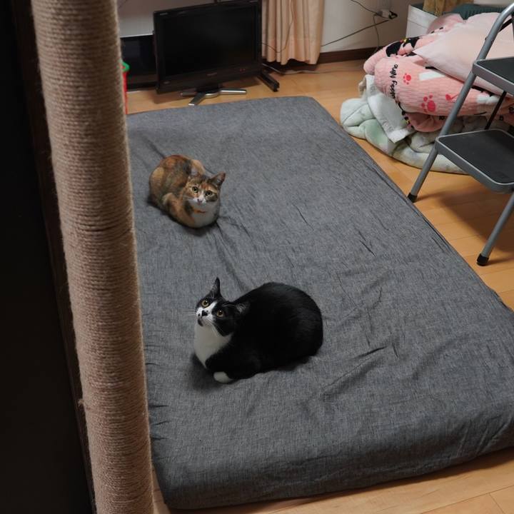 08992092 3453 46dc afa3 bbe94974b614 1616683176297