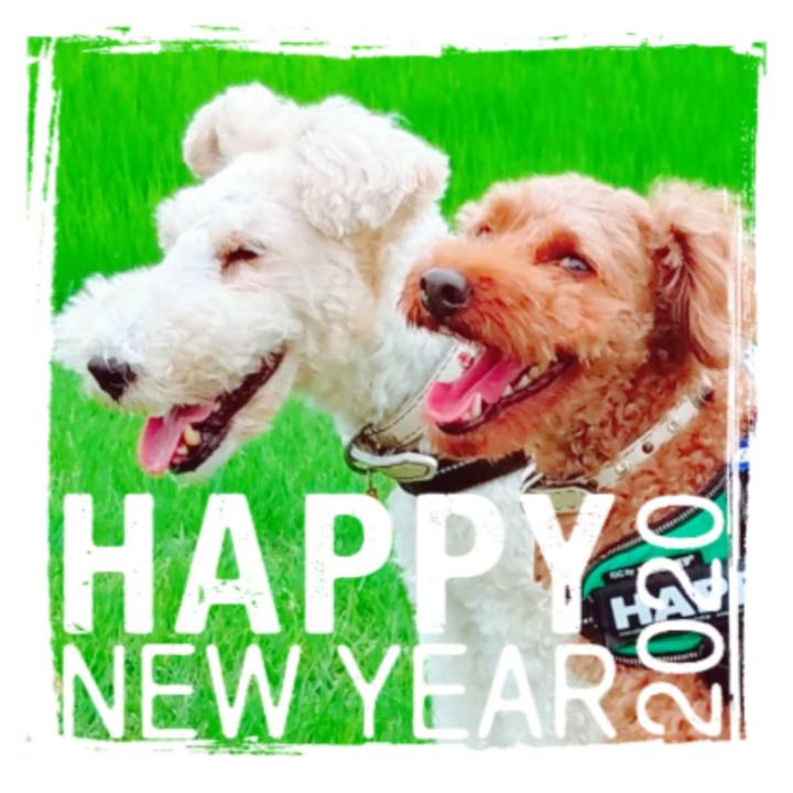 0899480d ed4a 4160 a61b 81de70035d47 1577805737175