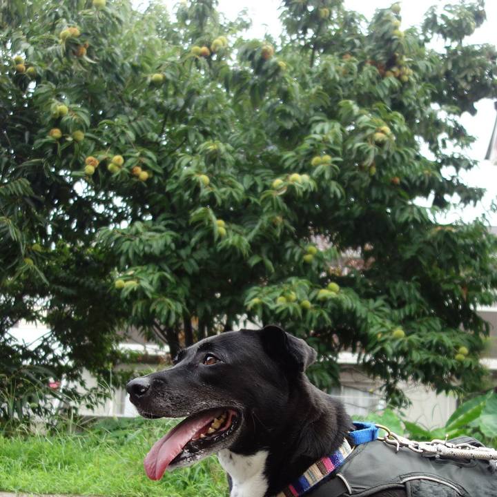 08997c0d 6ed5 42e3 8e7b 4fe125fe6587 1661558016776