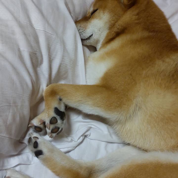 0899840c 4816 402f acbb ff9dc15a4149 1686744364702